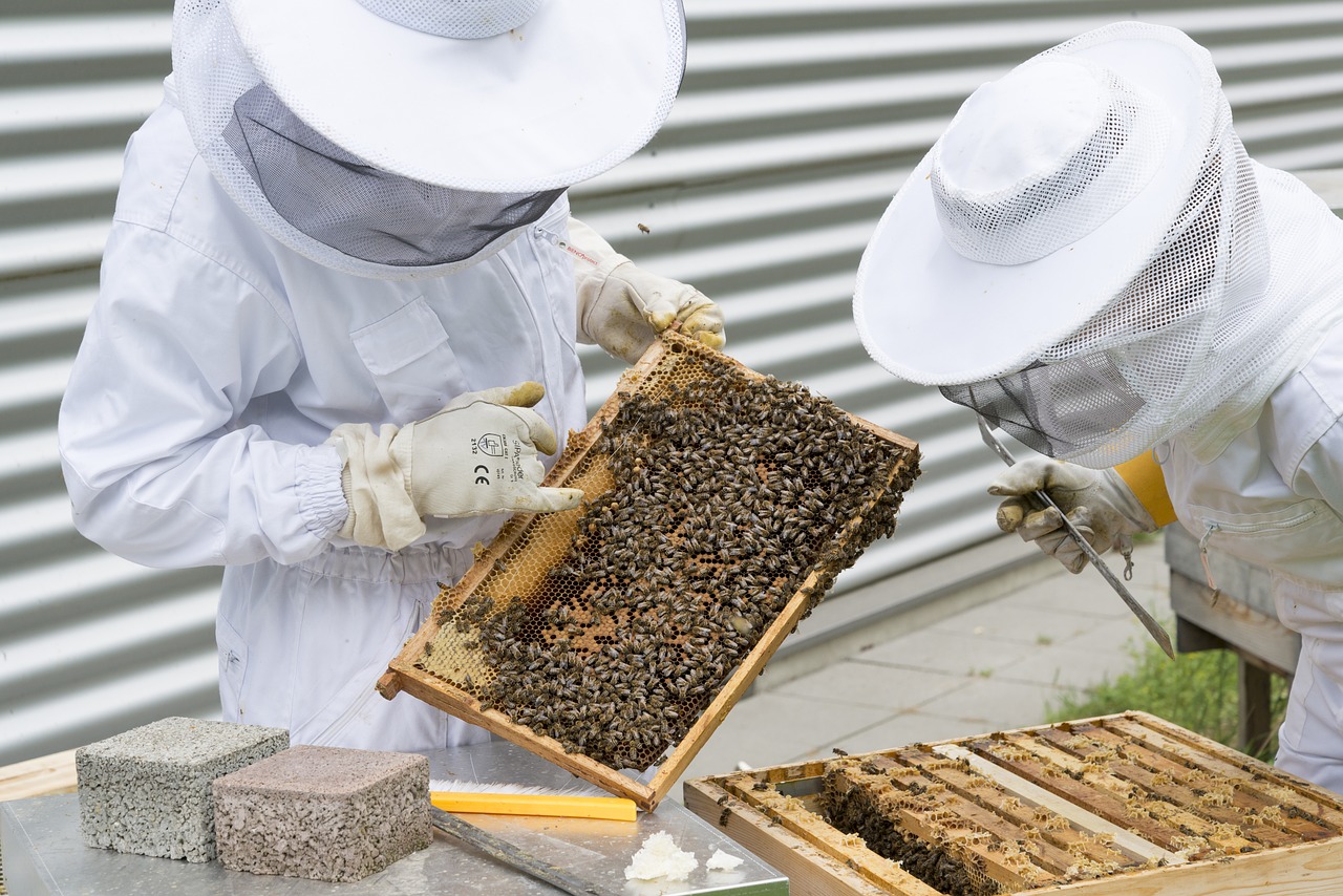 Pszczelarski Inkubator w Wolborzu już gotowy