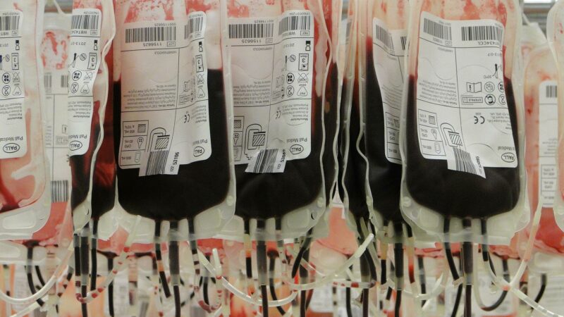 W ramach akcji „Wolbórz ratuje życie” mieszkańcy oddawali krew dla obywateli Ukrainy