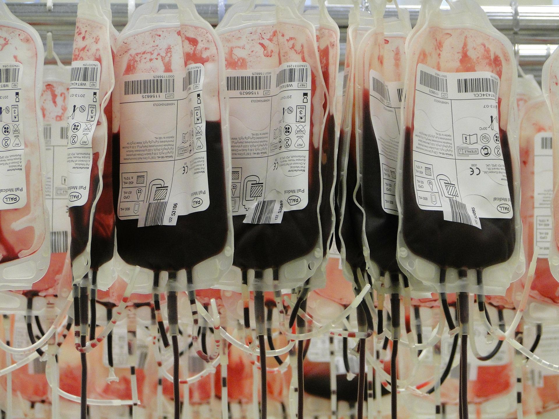 W ramach akcji „Wolbórz ratuje życie” mieszkańcy oddawali krew dla obywateli Ukrainy