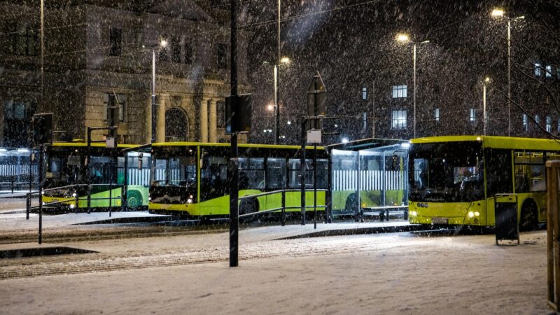 Zielone hybrydy jeżdżą już po ulicach, a będzie ich jeszcze więcej