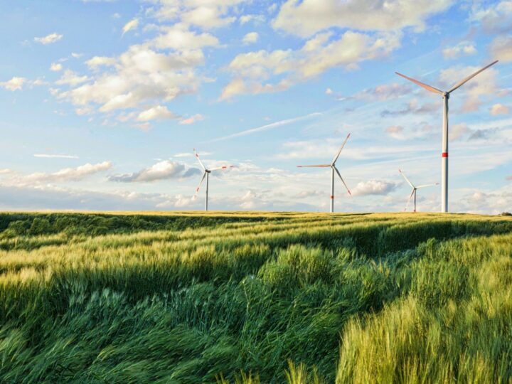 Inwestycja w ekologię: spółka DRINK ID racjonalizuje gospodarkę energetyczną