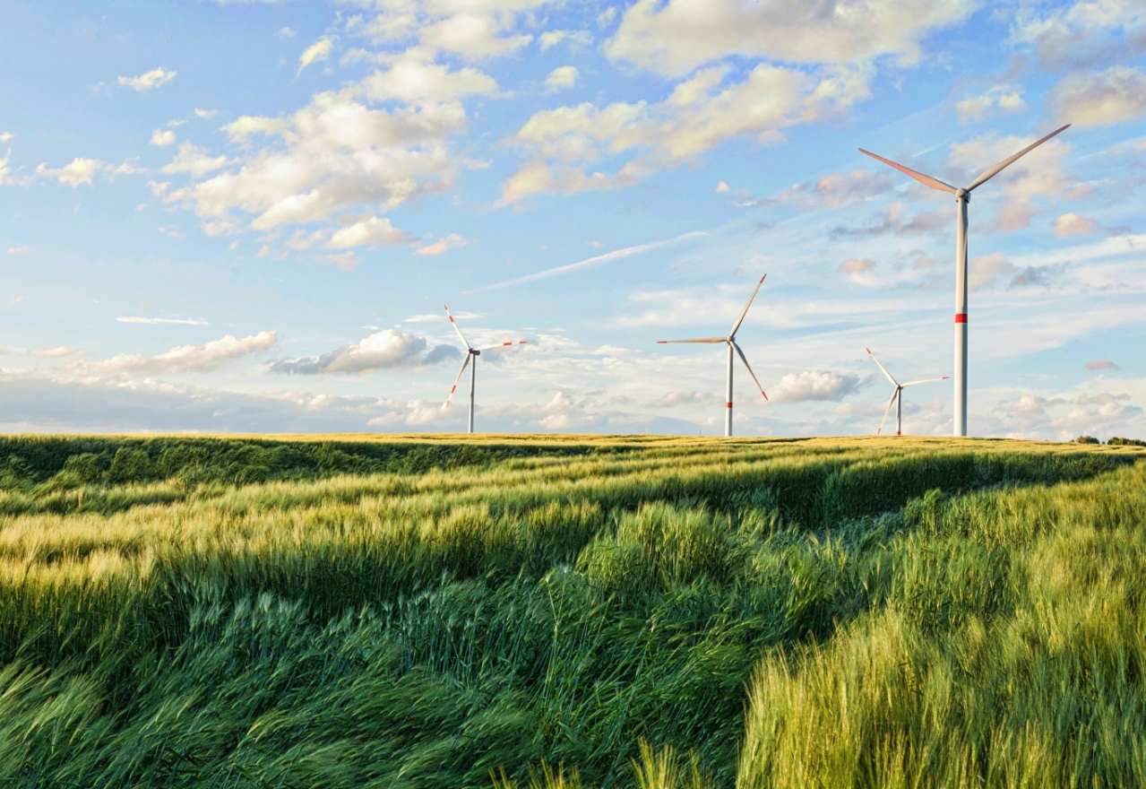 Inwestycja w ekologię: spółka DRINK ID racjonalizuje gospodarkę energetyczną