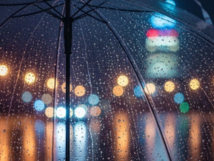 Gęsta mgła w powiecie piotrkowskim – ostrzeżenie meteorologiczne nr 77