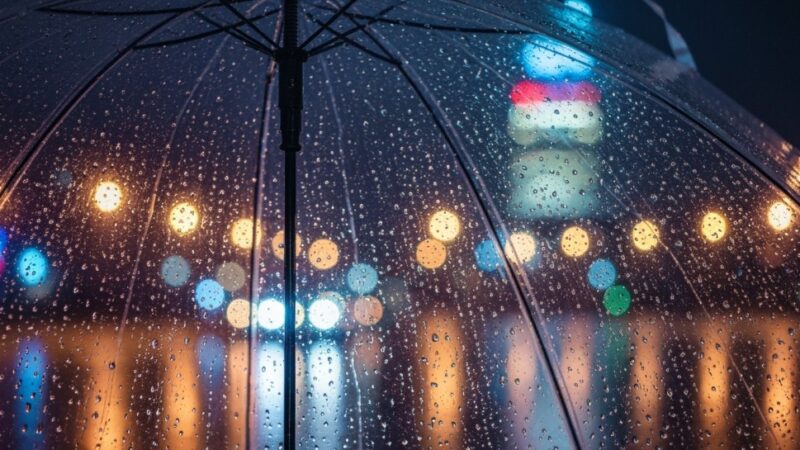Gęsta mgła w powiecie piotrkowskim – ostrzeżenie meteorologiczne nr 77