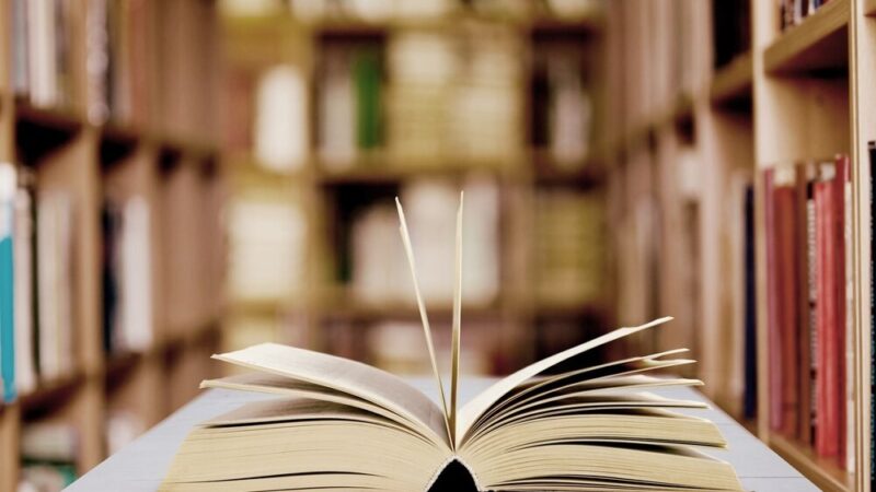 Noc Bibliotek 2025: SOWA w Piotrkowie z nowymi atrakcjami i darmowym wstępem!