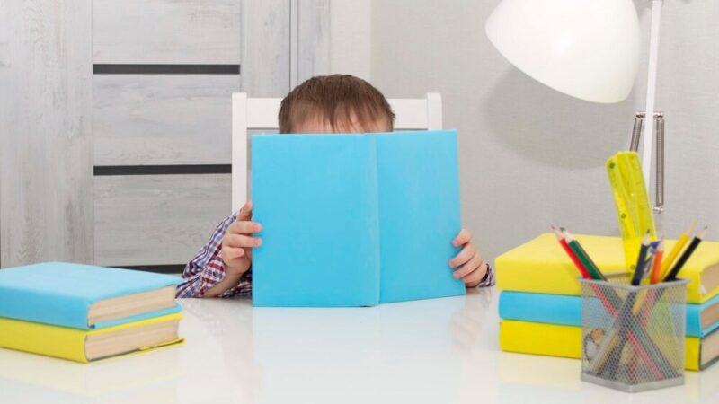 Czarnocin triumfuje: uczniowie zdobywają 3. miejsce w Przedszkoliadzie!