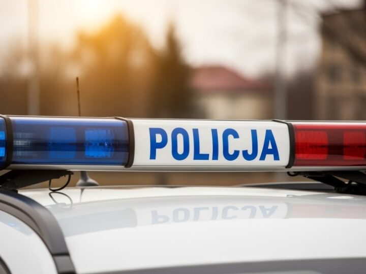 Policjanci z Piotrkowa ratują bezdomnego psa – otrzymują podziękowania