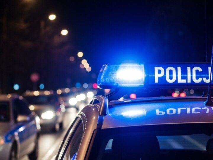 Areszt dla mężczyzny z ponad kilogramem narkotyków na A-1