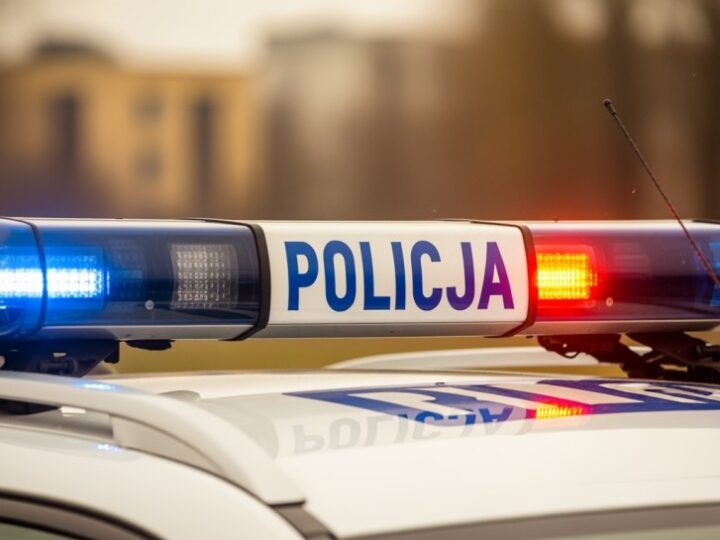 Recydywista zatrzymany po włamaniu do piwnicy w Piotrkowie Trybunalskim