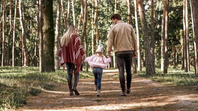 Milionowe dofinansowanie dla seniorów i osób z niepełnosprawnościami w Piotrkowie