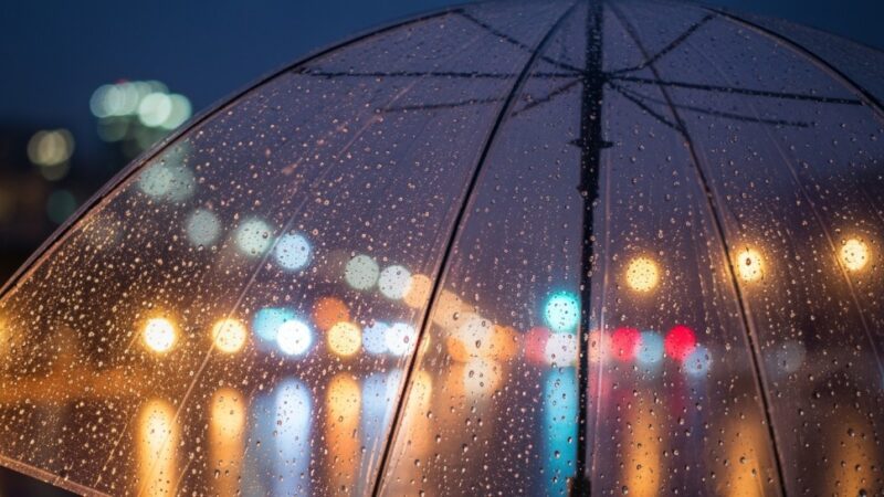 Przymrozki nad powiatem piotrkowskim: nadchodzi zimny front