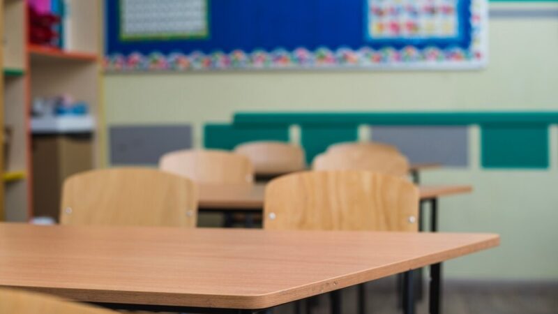 Sukcesy uczniów Szkoły Podstawowej w Sulejowie w wojewódzkich konkursach przedmiotowych