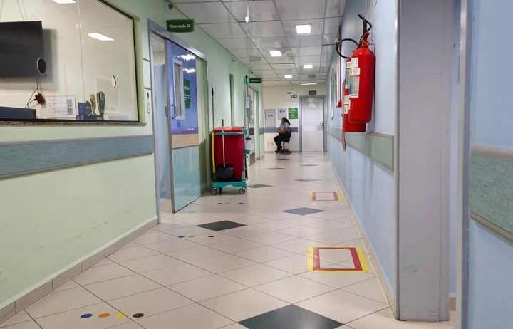 Nowe zasady w Łódzkiem: Inspekcja Weterynaryjna ostrzega przed ptasią grypą