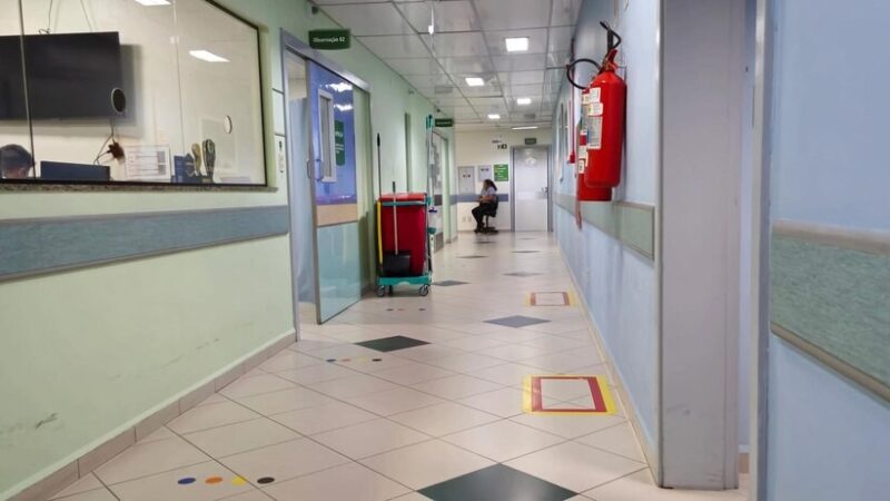 Nowe zasady w Łódzkiem: Inspekcja Weterynaryjna ostrzega przed ptasią grypą