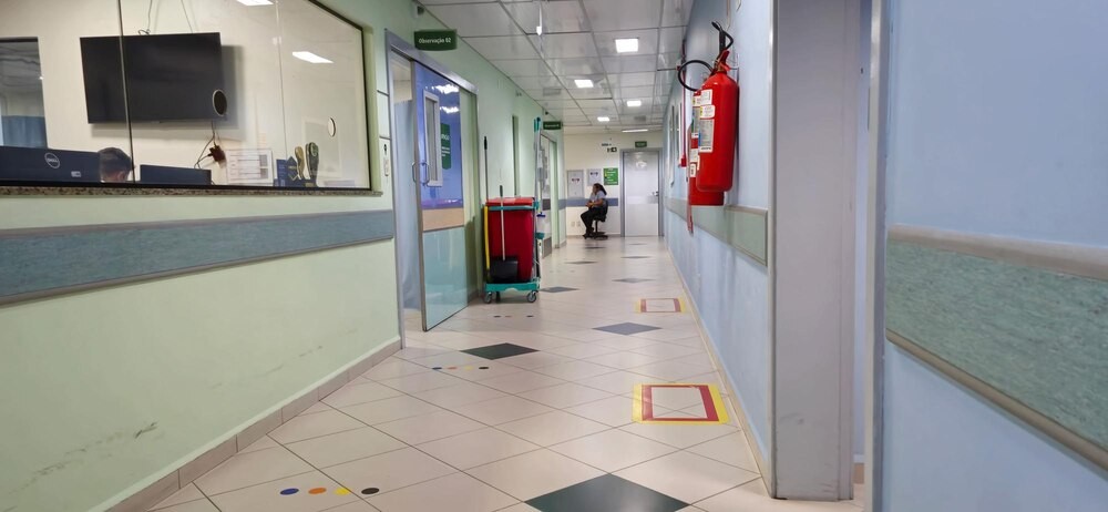 Nowe zasady w Łódzkiem: Inspekcja Weterynaryjna ostrzega przed ptasią grypą