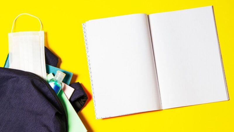 Maja Popielarska dzieli się pasją do ogrodnictwa w Piotrkowie Trybunalskim