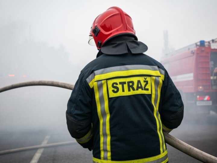 Policja i strażacy błyskawicznie ratują młody las przed pożarem