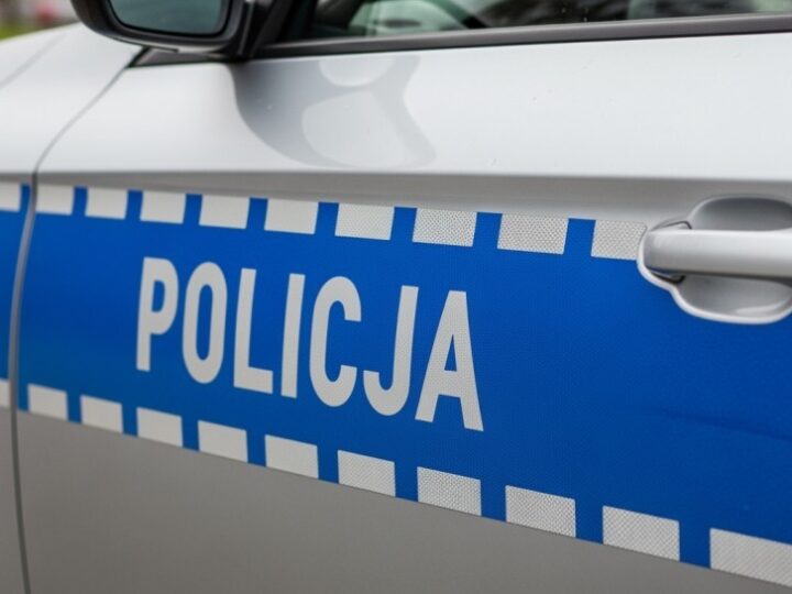Zebra wybrana na maskotkę policji w Piotrkowie Trybunalskim!