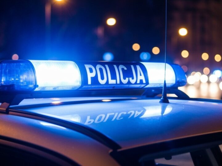 Nastolatka bez prawa jazdy wjeżdża w płot po spożyciu alkoholu