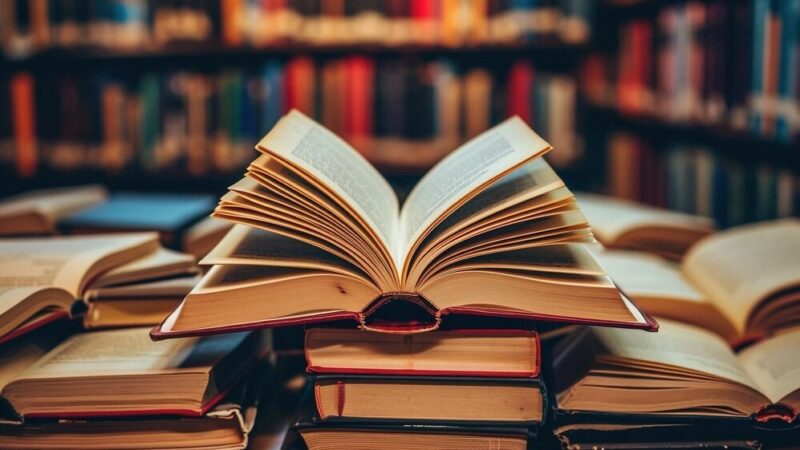 Literacka podróż: Miejska Biblioteka Publiczna w Piotrkowie Trybunalskim zaprasza na nowy projekt