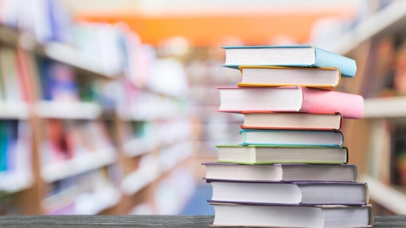 Narodowe Czytanie w Sulejowie – Dołącz do literackiego święta!